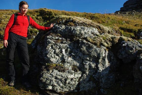 Hovedprofil Teknisk ressursgeologi Teknisk ressursgeologi dekker både teoretiske som praktiske sider knyttet til ikke-fornybare georessurser.