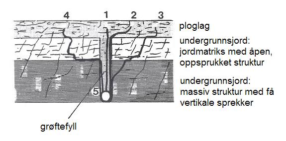 106/107 og Askim de største tapene til grøftevann, over 1200 kg/ha, som utgjør henholdsvis 50 og 29 % av totaltapene.