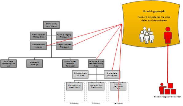 vernetjeneste) og de med kompetanse på området. Noen ganger innleide bidragsytere. Mer eller mindre formell prosjektorganisering.