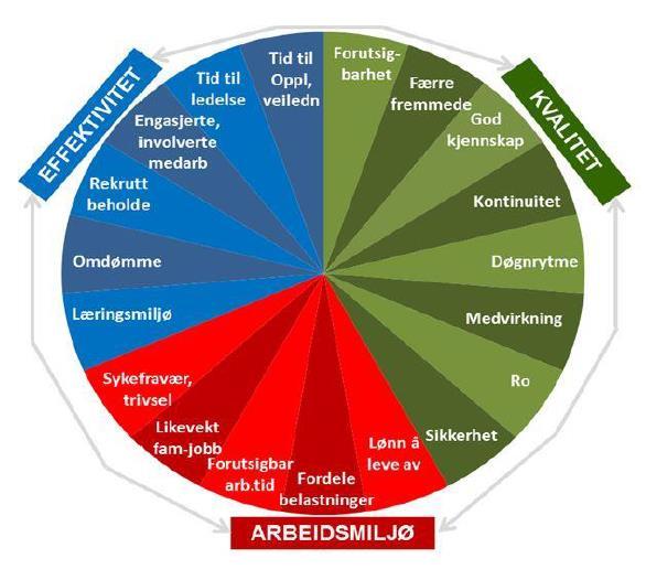 Antall ansatte Positive effekter for arbeidsgiver Positive effekter for brukerne av tjenestene Positive effekter for arbeidstakerne 2.