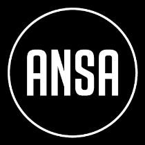 Navn 1. Organisasjonens navn er Association of Norwegian Students Abroad (ANSA) - Samskipnaden for norske studenter i utlandet. Formål 2.