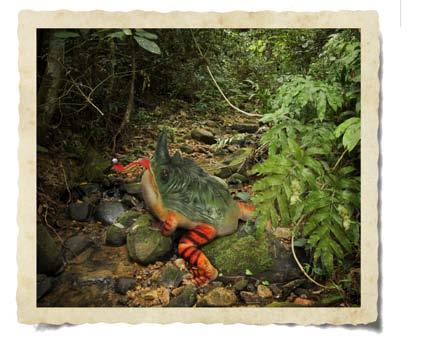 Neshornfrosk (Nf) (Kermit rhinosaurus) Type dyr: Frosk i springpadde-familien. Utbredelse: Utrydningstruet, finnes i dag kun rundt Maracaibosjøen nordvest i Venezuela.