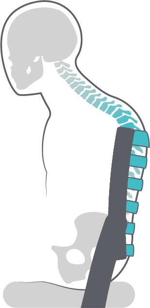 Også de tynne komfortkilene kilene () gir stabilitet. De kan plasseres nedenfor de myke ryggkilene. For ytterligere stabilitet, bruk sideputene (), støttet av rett sidestopp (4).