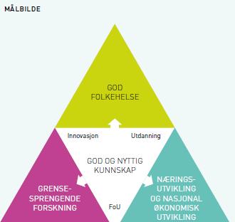 Oppdraget Den nasjonale forsknings- og innovasjonsstrategien HelseOmsorg21 Helse- og omsorgsdepartementet (HOD) tok våren 2013 initiativ til HelseOmsorg21 (HO21).