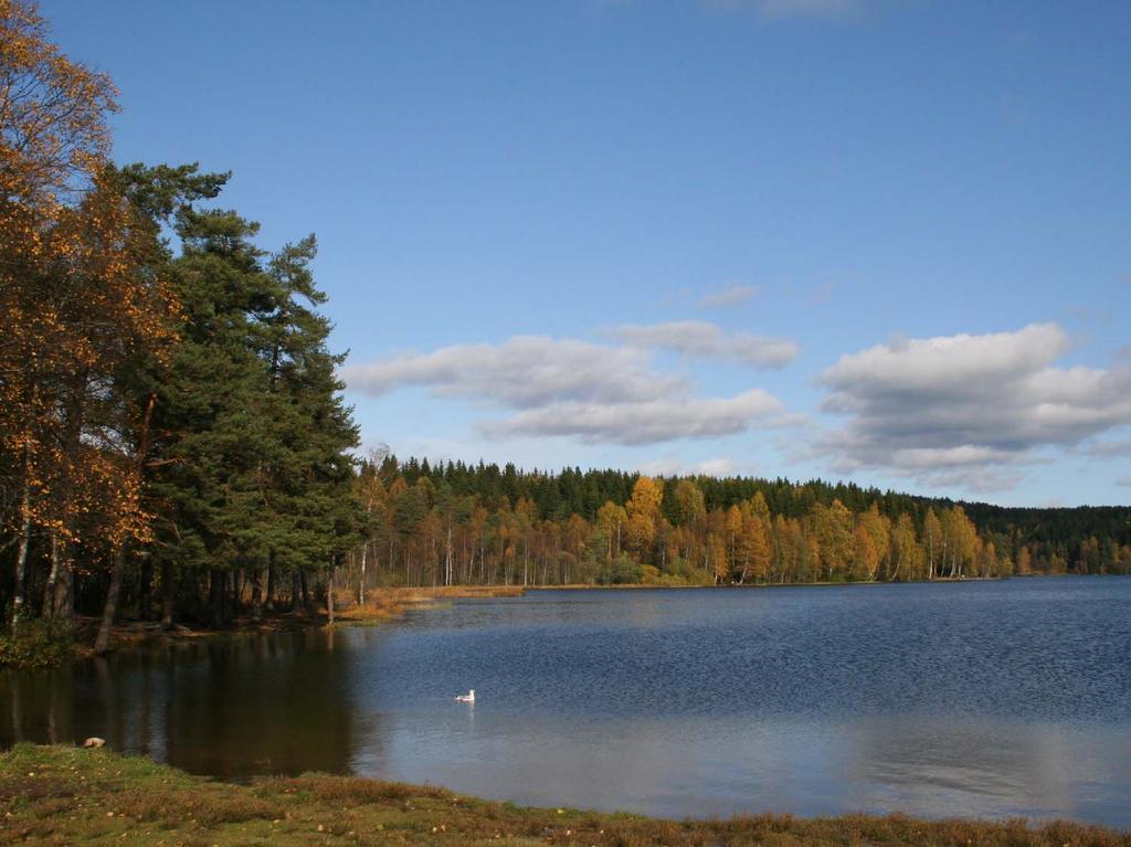 GLITNE GLITNE ( den lysende ) er i den nørrøne mytologien boligen til Forsete i Åsgard.