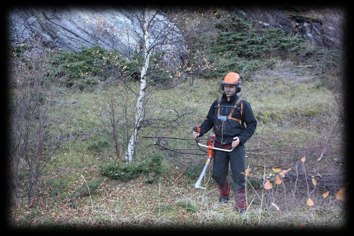 2. Plantelivet 2.1 Vern av plantelivet.