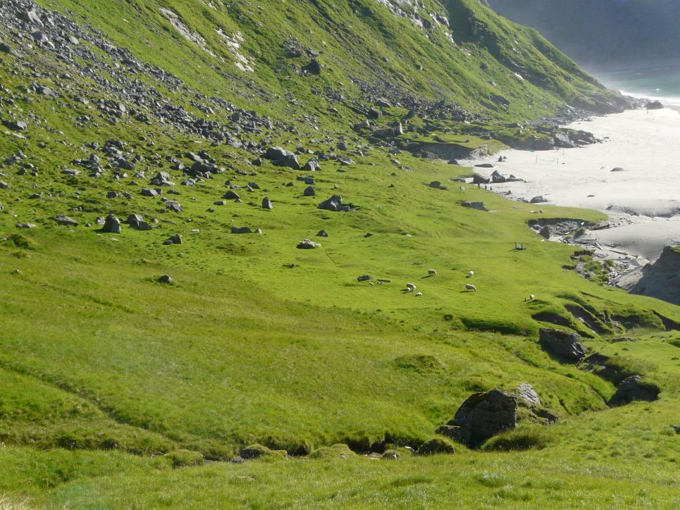 landskap uten tyngre naturinngrep, naturtyper, arter og geologiske