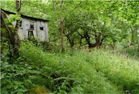 kulturminne i landskapet Mål som sørger for at ordinær landbruksdrift tek omsyn til artsrike naturtypar (til dømes ved gjødselhandtering, sprøyting, med meire) Figur 2.