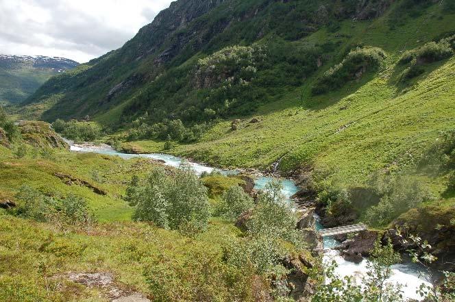 høve til NiN (2.1) høyrer naturbeitemarkene til under hovudtypen semi-naturleg eng med beitepreg (T32). Omsynskrevjande/raudlista artar.