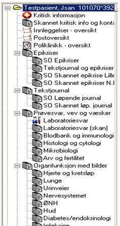 Helse Sør-Øst RHF Teknologi og ehelse/regionale standarder, prosedyrer, brukerveiledninger og opplæring for DIPS/Regionale Standardområder DIPS Standard: Journalstruktur Utgave: 1.