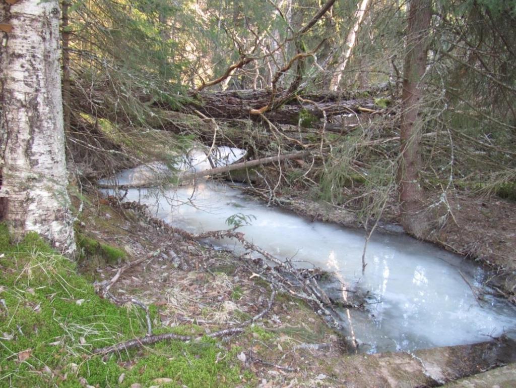 Pkt. 2: Bekk Sørenget Foto 3: Bekk Sørenget sett fra