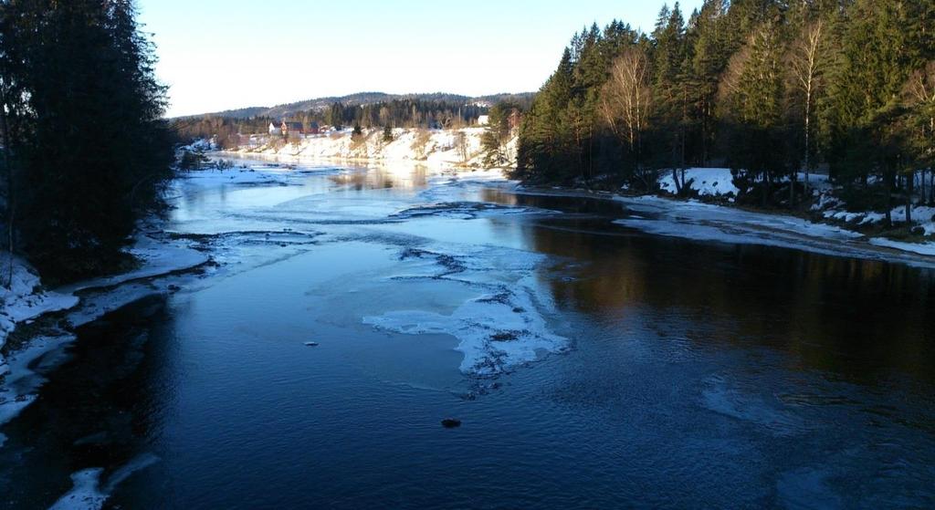 Figur 11. Foto av Tovdalselva ved Mollestad da elva var på det laveste 11. mars 2013. Lav lufttemperatur resulterte i synlige isdannelser i elvegrusen. (Foto Sven Arne Ånensen) Figur 12.