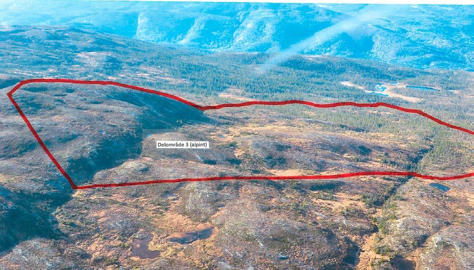 Delområde 3 har en del snaufjell mot nordøst.