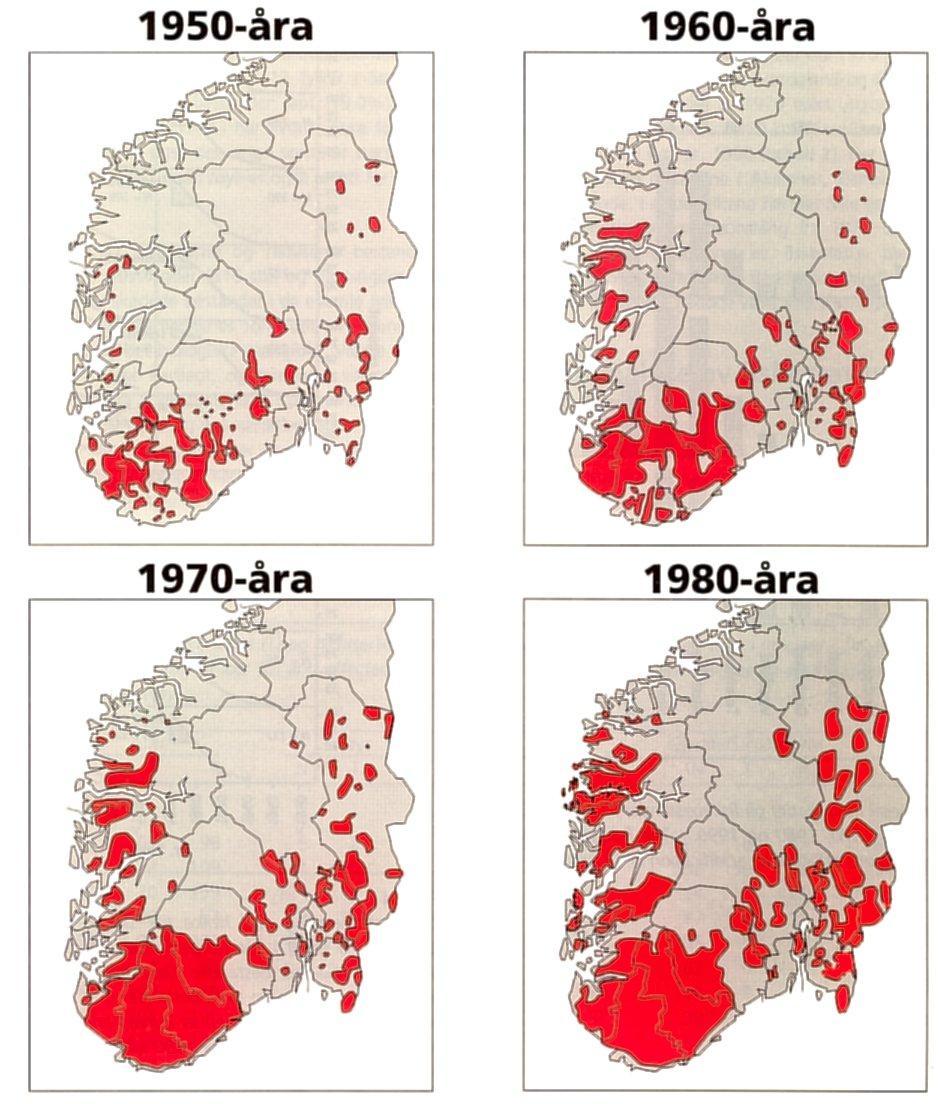 Figur 3-3 viser hvor skadet norsk natur var under den mest kritiske perioden fra 1980 til 1990 (etter Sevaldrud & Muniz 1980). Etter 1990 er forholdene blitt bedre i hele landet.