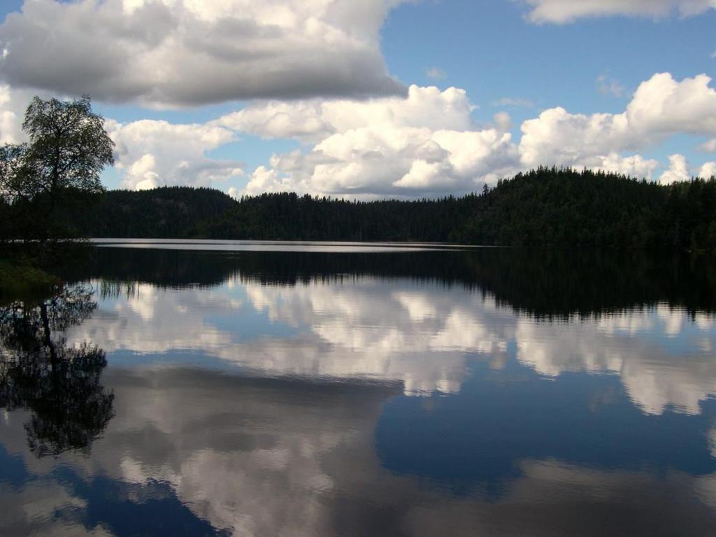 Innsjøen har imidlertid fortsatt mange oligotrofe elementer.