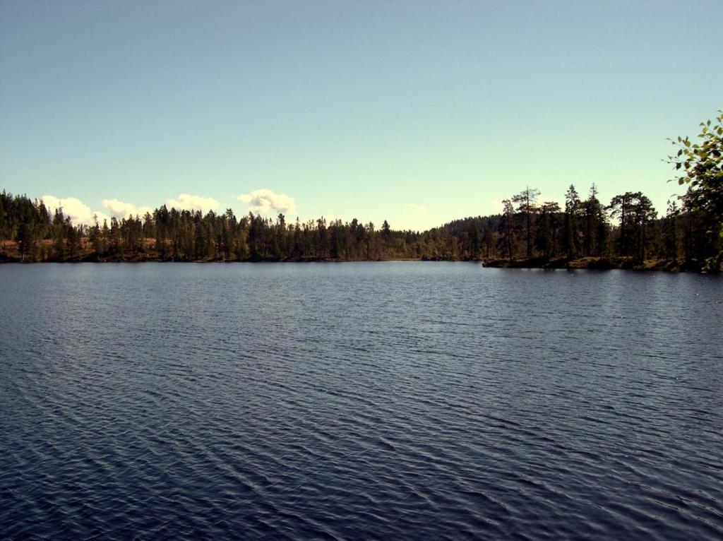 Abboren bør holdes unna, siden de nærliggende innsjøene Langløk-ene og Holmvatn