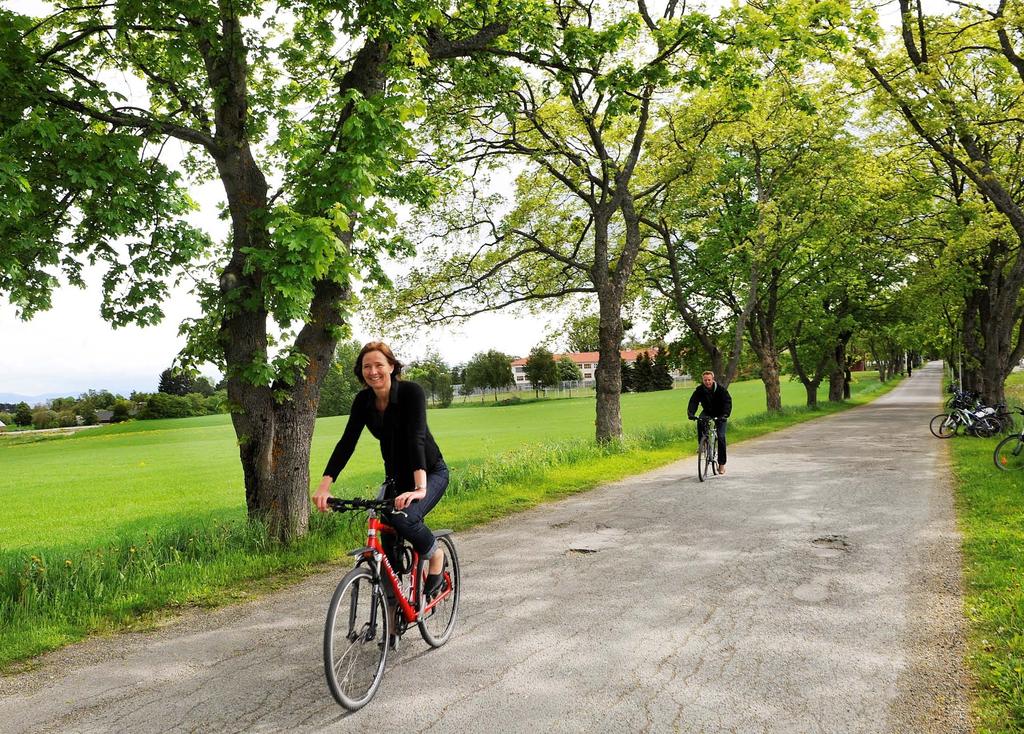 Brøset den grønne bydelen