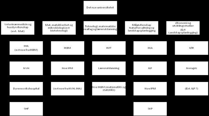 Det nye universitetet Husdyrvitenskap, veterinærmedisin og mat/bioteknologi Miljø, naturforvaltning, landskapsplanlegging, utviklingsstudier Teknologi og økonomi Bioprod, inkl akvakultur Veterinærmed