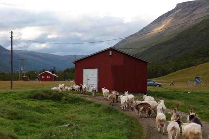 Manndalen Kåfjord Troms Oskar