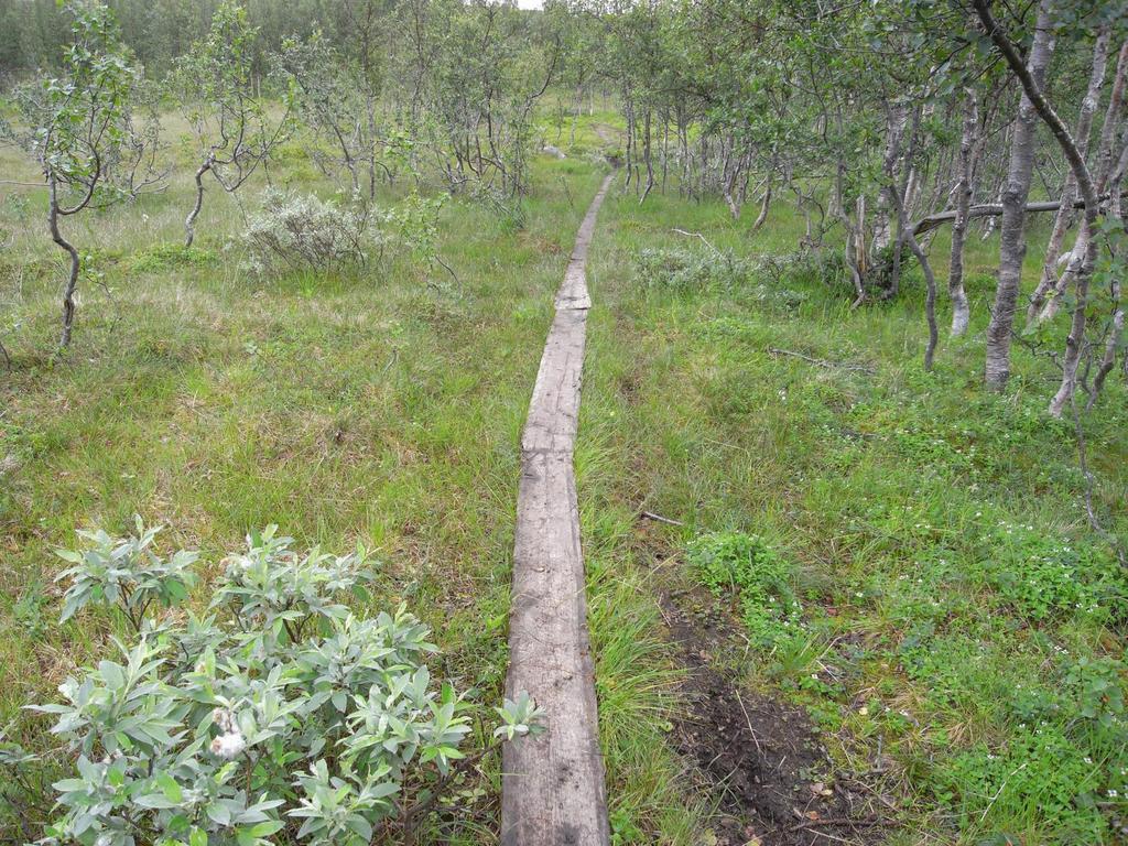 Mellom Tønsvika og