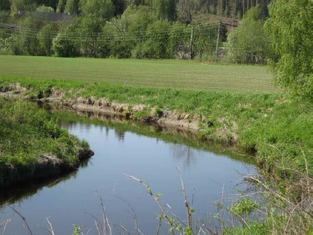 2/3 av lengdemeterne har ikke erosjon d. 3/4 av lengdemeterne har ikke erosjon e.