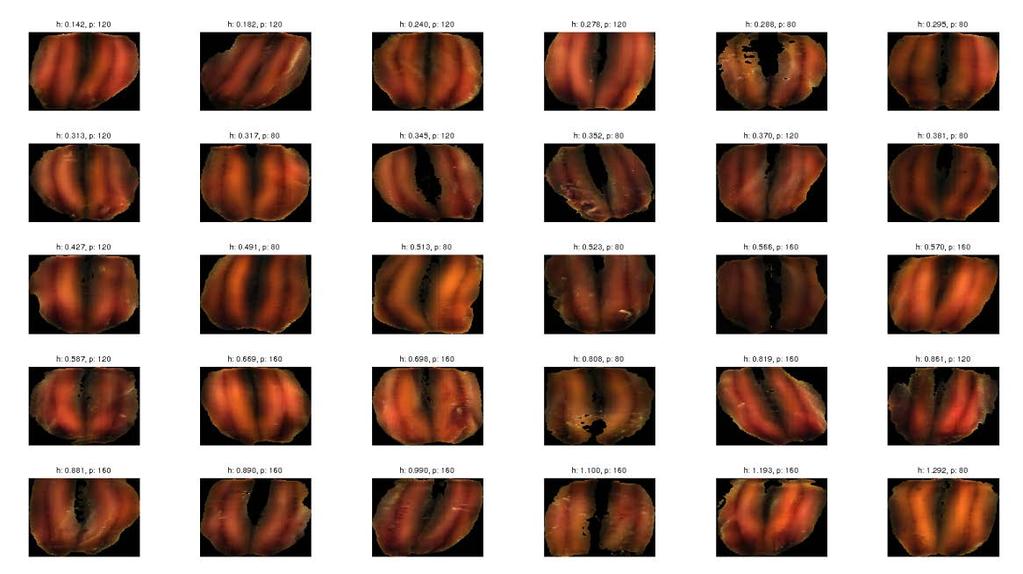 Figur 2 RGB-representasjon av de 30 filetene med målt hemoglobininnhold.