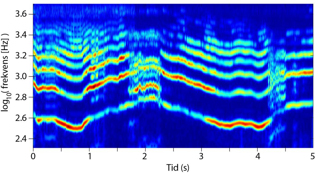 Kapittel 7. Lyd 162 Figur 7.13: En avansert form for tidsoppløst fouriertransformasjon (wavelet-transformasjon) av lyden fra et munnstykke til en trompet.