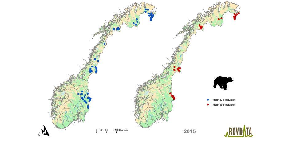 DNA av bjørn 2008 2009 2010 2011 2012