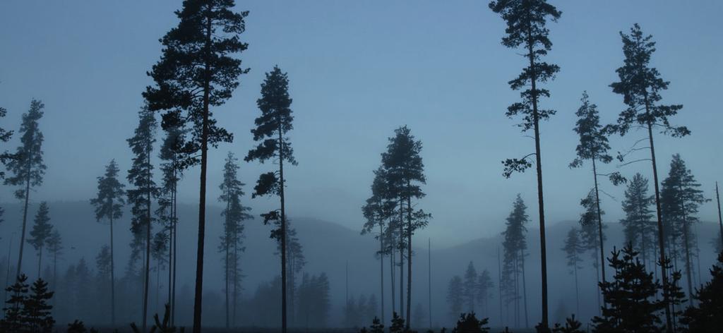 ... > HOVEDTALL... HOVEDTALL KVANTUM Salgsmåling inkl. flis, 1. m 3 Øvrig måling og registrering, 1.