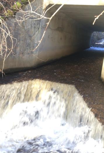 Strekninger i Sagbekken opp mot det som opprinnelig er naturlig oppgangstoppende foss for sjøvandrende laksefisk. Strekningene har derimot kun elvestasjonær ørret som følge av inngrepet under Fv 146.