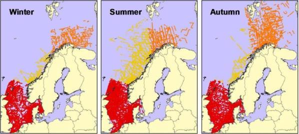 Sjøfugl i åpent hav Data er blitt samlet inn etter standard metode for linjetransekter (Tasker et al., 1984). Fuglene ble telt fra 6-10 m over havoverflaten under en konstant fart av ca. 20 km/h.