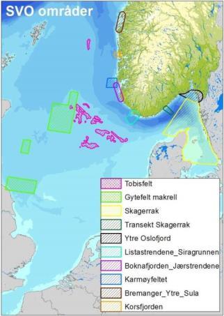utvalgskriterier og allerede er anerkjent for sin verdi. I tillegg er kystsonen generelt sårbar (DN & HI, 2010). Figur D - 25 Særlig verdifulle områder (SVO) i Nordsjøen (DN & HI, 2010).