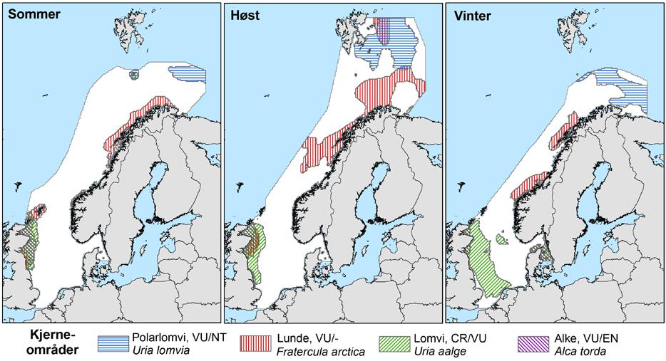 Figur D - 2 Kjerneområdene til alkefugl og pelagisk overflatebeitende sjøfugl oppført i den norske rødlista (Fauchald, 2011).