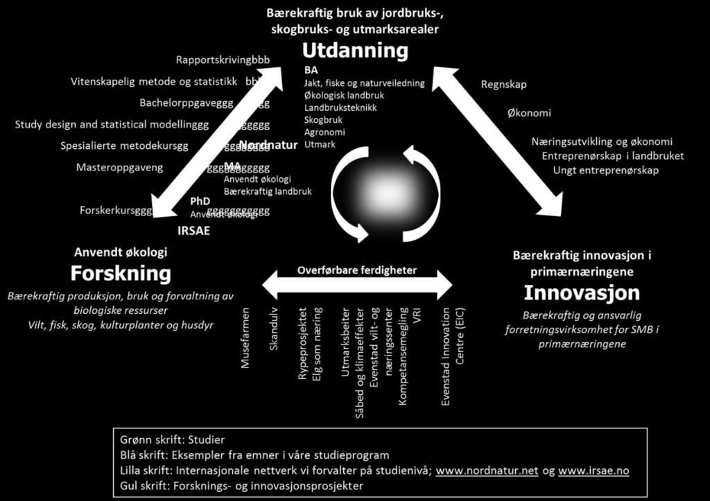 Figur 2. En beskrivelse av AØLs fagprofil basert på kunnskapstriangelen. Innovasjon.