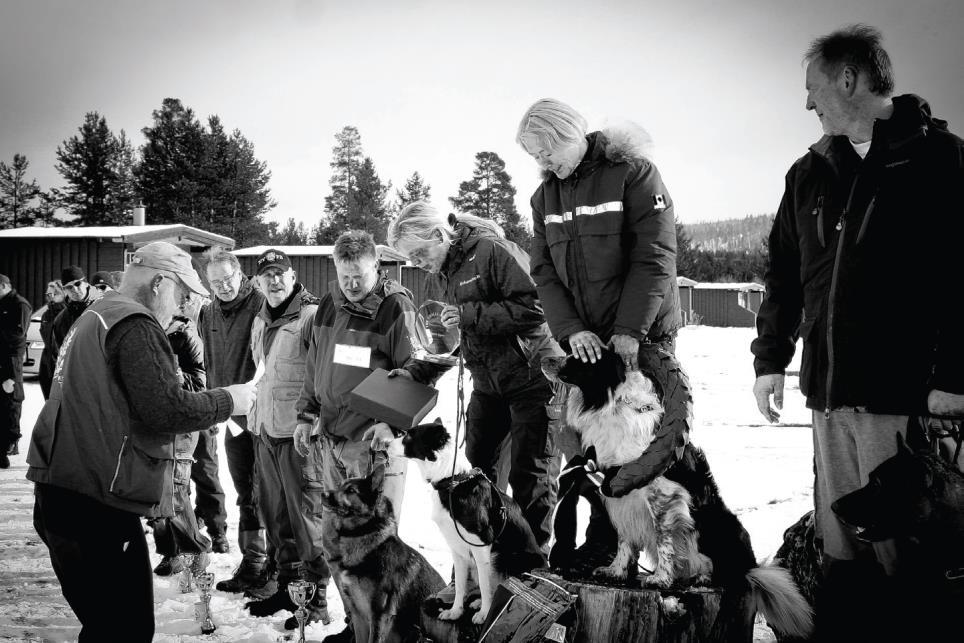 Vinnere 2009 Nr. 1. Torill V. Pedersen med Border Collie N.Bch. TinTin fra Nidaros BHK, tot. 725 p. Nr. 2. Hege Schea Bakke med Border Collie Ytrelia s Yatzy fra Stovner HK, tot 706,5 p. Nr. 3.