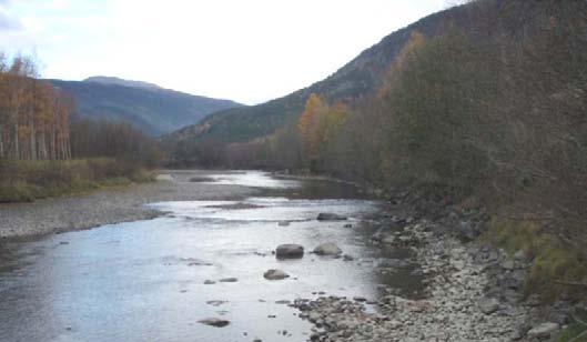 Rand- og kant vegetasjonen langs jordbruksarealene og beitehagene med løvskog er karakteristisk for Gudbrandsdalen. Kantvegetasjonen langs Lågen er også preget av et tett vegetasjonsbelte med løvtrær.