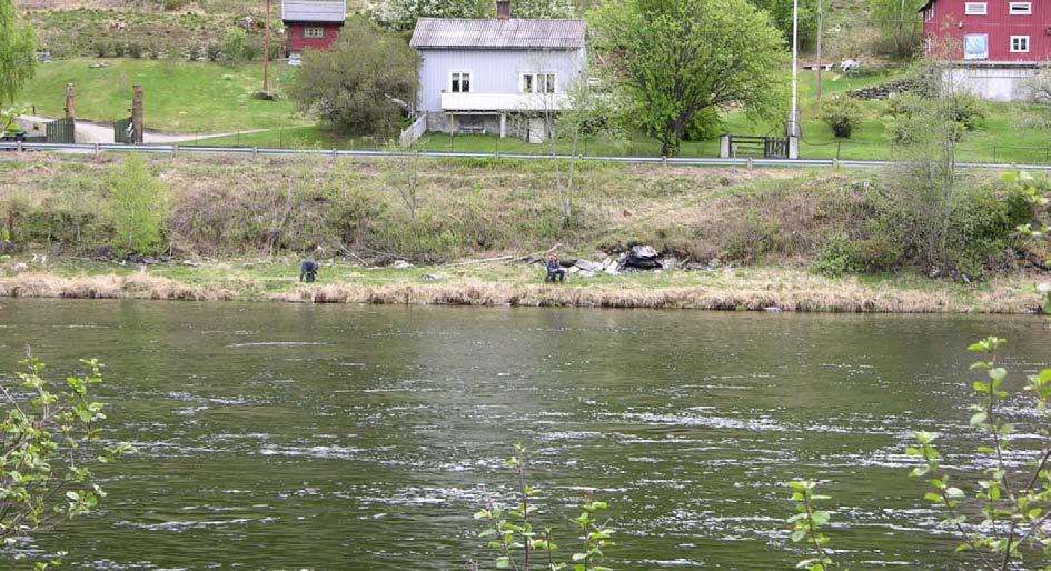 del (Viltkontakt, 2009). Fiskearter som er registrert i øvre deler av Lågen er aure, harr, ørekyte og muligens steinulke (Lågen Fiskeelv, 2009).