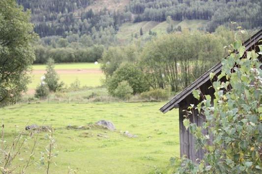 Mange av de gamle husmannsplassene er i dag gode gardsbruk, eller småbruk, og en god del er nedlagte. I bosettingsmønsteret i bygda utgjør de gamle husmannsplassene en vesentlig del.