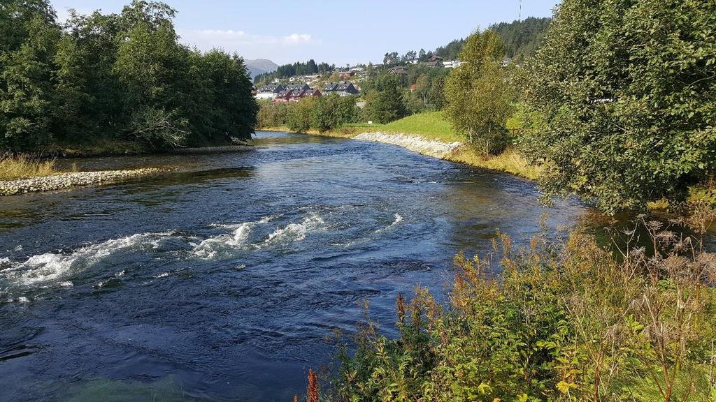 NOTAT Figur 6. Elvesvingen i Jølstra like ved fiskehytte 4.