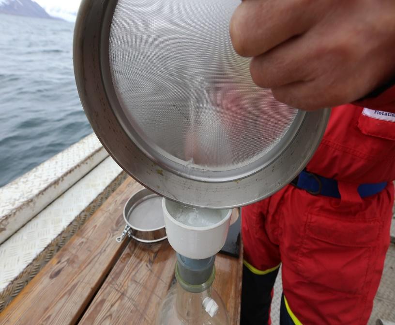 I tillegg ønsket vi å undersøke om vi kunne finne mikroplast i bunn- og fjæresedimenter samt i muslinger fra Breibogen, i og med at Breibogen er et kjent område hvor det strander mye flytende