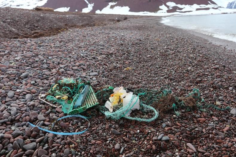 Forurensingen begrenses fordi all luft som går inn i denne typen avtrekksskap filtreres. I laboratoriet ble sedimentprøvene ekstrahert ved bruk av konsentrert saltløsning.