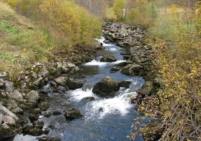 Resultater På undersøkelsesdagen 10. oktober 2007 ble vannføringen i Vigdøla ved Storøykroken (76.11) målt til 0,36 m 3 /s. Målestasjonen er plassert ca. 500 m ovenfor planlagt inntak.
