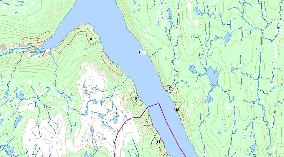 Figur 2: Kjerneområder for hvitryggspett langs