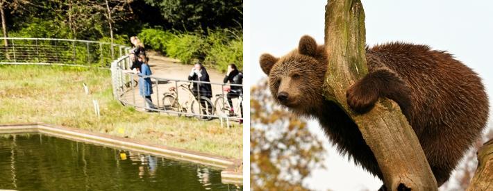 2 km) Med over 3.000 dyr fordelt på over 264 spennende arter er Zoo på Frederiksberg alltid en opplevelse i særklasse.