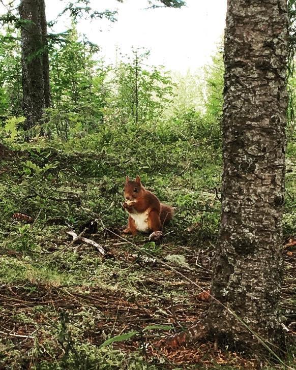 Ugleskogen er et sted vi allerede har blitt veldig glad i.