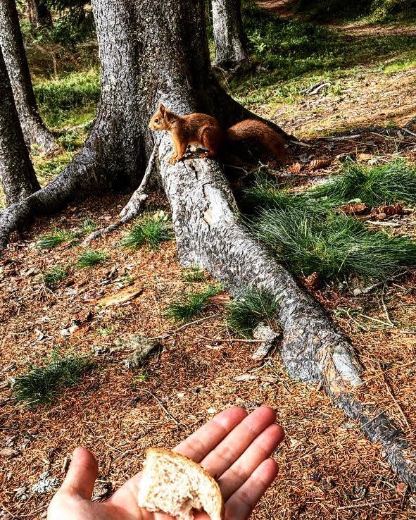 trestammen eller i den lille gapahuken, og ellers bare kose oss i