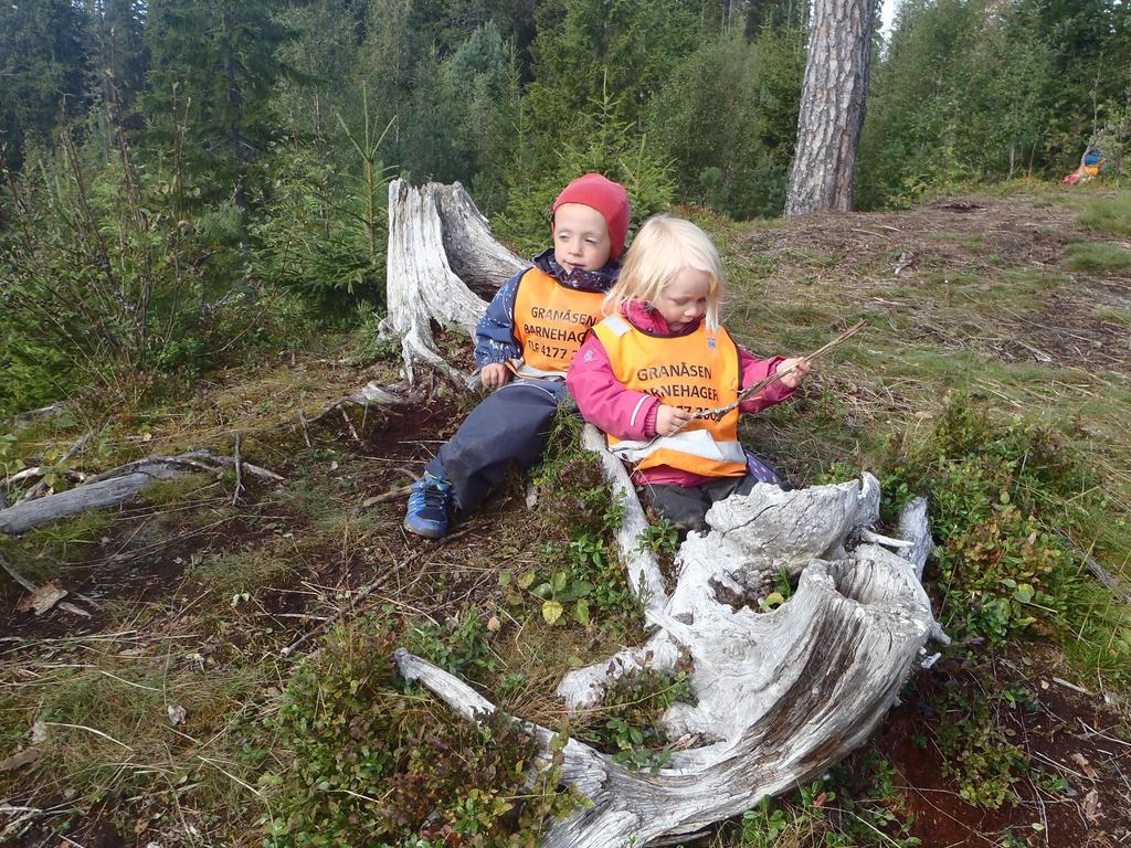 Himmeltoppen har organisert tur gruppene noe annerledes en de siste årene. Vi er nå to primærgrupper SørØst og NordVest.