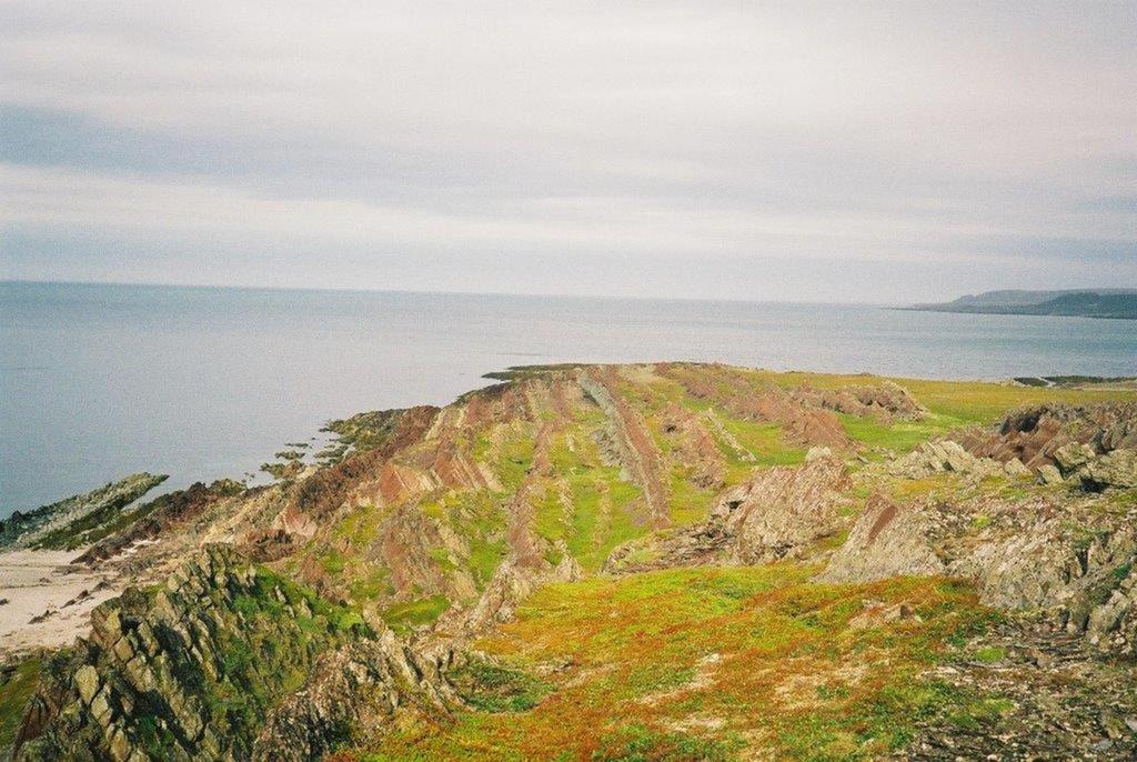 Persfjorden Varangerhalvøya Røde og grønne skifre som veksler med tynne sandsteiner.
