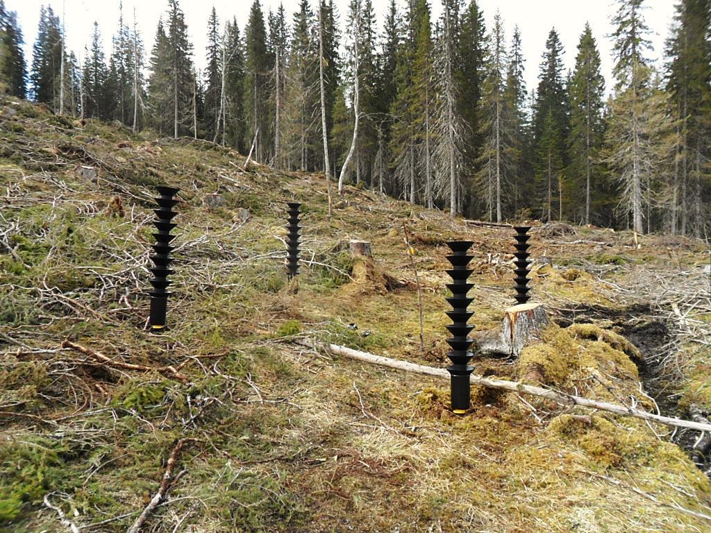 2.3. Lokalitet 3. Gaulstad Lokalitet 3. ligger på Gaulstad i Øvre Ogndal i Steinkjer kommune (UTM 33V 0358590 7099056). Fellene ble plassert midt i en nordhellende skråning, 333 meter over havet.