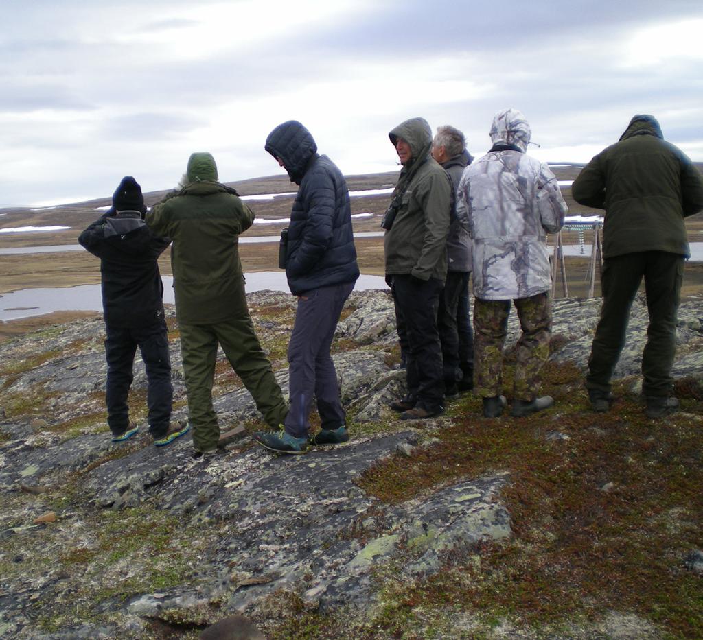 Barvikmyrene ved Vardø i surt vær. Foto: Kjetil Johannessen Finnmarksmotiv fra Vardø. Foto: Eli Sørensen Totalt ca 30 havørner langs veien denne dagen!